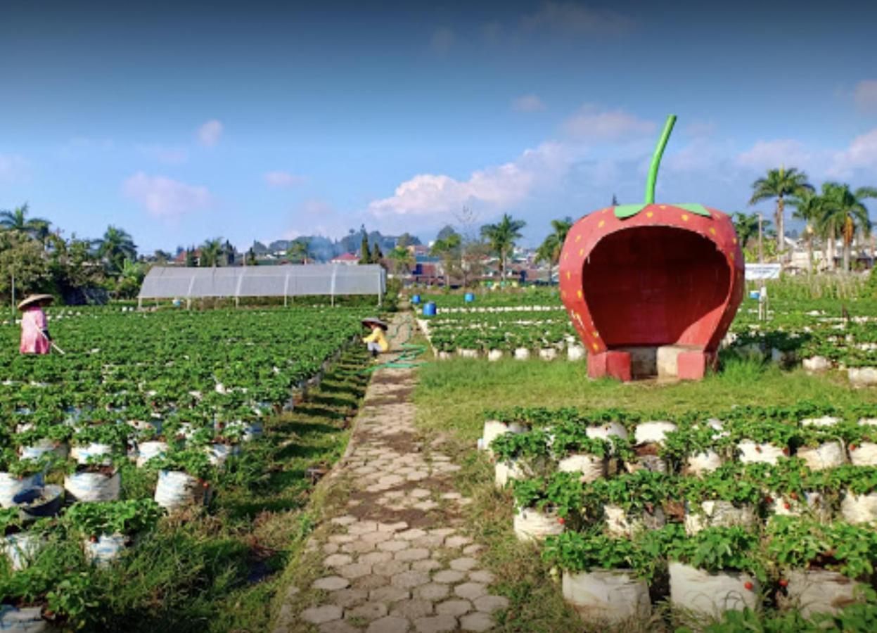 Villa Musti Green Apple Cipanas Sindanglaya Екстериор снимка